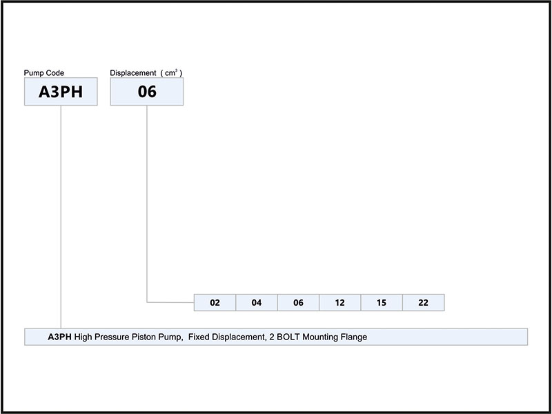 Ordering Code of A3PH Pumps